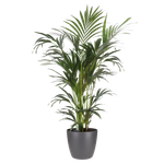 brussels rund 22cm anthrazit